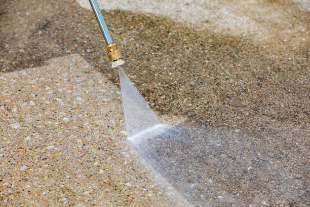 Best Animal Enclosure Cleaning  in Mariposa, CA